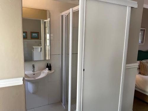 a bathroom with a shower and a sink at Brighton Lodge - #Solar Energy #No Loadshedding in Port Elizabeth