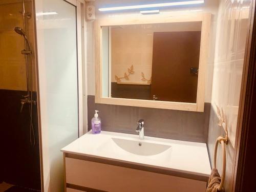 a bathroom with a sink and a mirror at Résidence du Récif - L'Hirondelle in Bain Boeuf