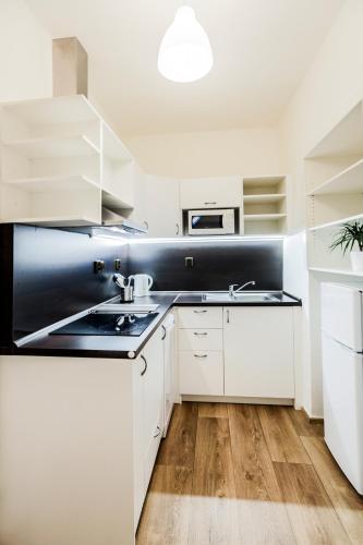 Kuchyň nebo kuchyňský kout v ubytování Accommodation Smečky 14