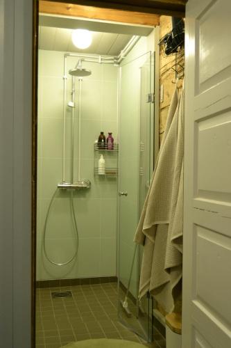a shower with a glass door in a bathroom at Idyllic Peltola in Ranua