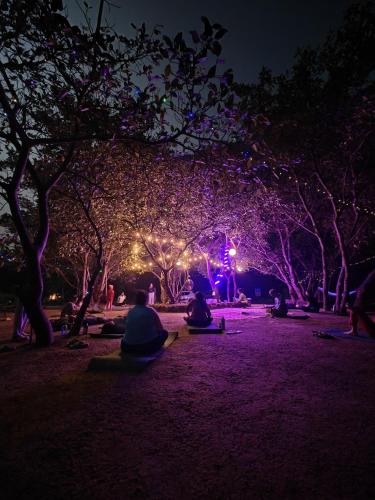 a group of people sitting in a park at night at Gaia Ekole in Āmbavna