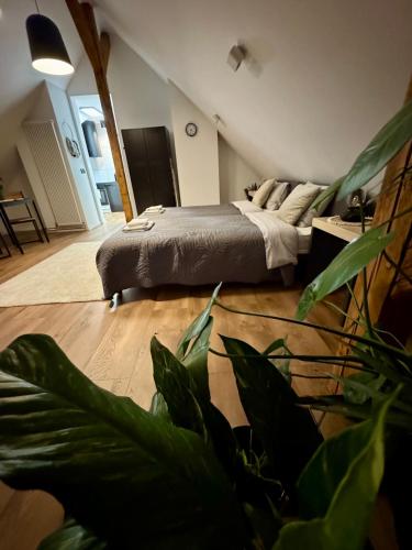 a bedroom with a bed and a large plant at Apartamenty Astor - Księżycowy in Szczawno-Zdrój