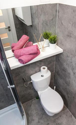 Ένα μπάνιο στο Loft Rooms - centrum - bezpłatny parking