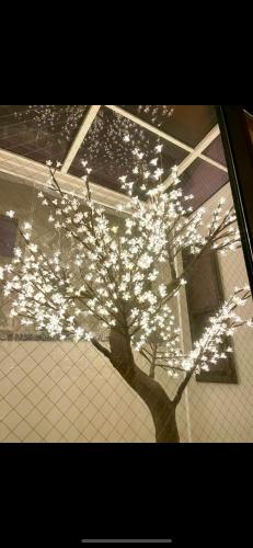 a tree in front of a house with lights on it at 渋谷駅徒歩10分!!一棟まるごと貸し切り!お子様歓迎駐車場無料10人ok5部屋バスルーム2つ in Tokyo