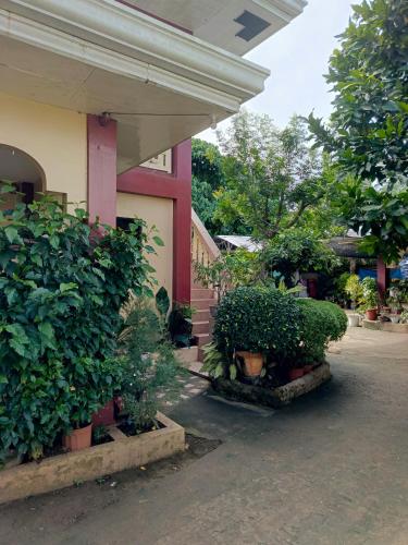 a building with a bunch of plants in front of it at Peace Lily Studio Apartments Panglao in Panglao Island