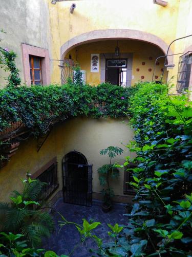 an entrance to a building with plants on it at Lele Panchito y Lavanda Juntos en el Centro in Querétaro