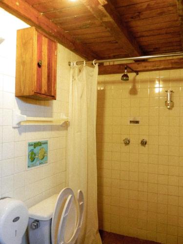 a bathroom with a toilet and a shower at Lele Panchito y Lavanda Juntos en el Centro in Querétaro