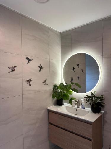 ein Badezimmer mit Waschbecken und Spiegel in der Unterkunft Views on King in Egmont Village
