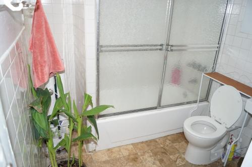 a bathroom with a shower and a toilet and a plant at John 3 16 Christian BnB in New York