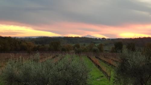 a field with a sunset in the background at Podere Marella in I Pieracci