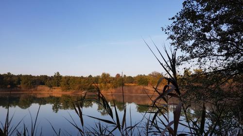 a view of a lake with trees in the background at Podere Marella in I Pieracci