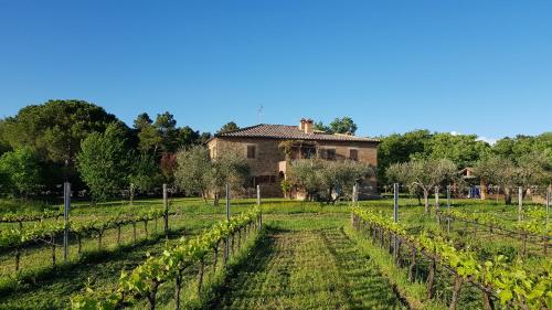 a field of vines with a house in the background at Podere Marella in I Pieracci