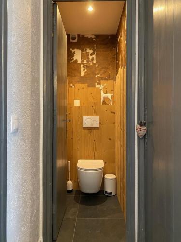 une petite salle de bains avec toilettes dans le couloir dans l'établissement Location Appartement Valberg 3 pieces 6 a 7 personnes, à Péone