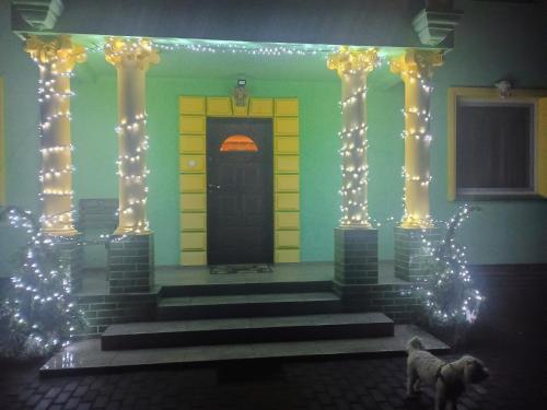 a dog standing in front of a house with lights at W zieleni in Polanica-Zdrój