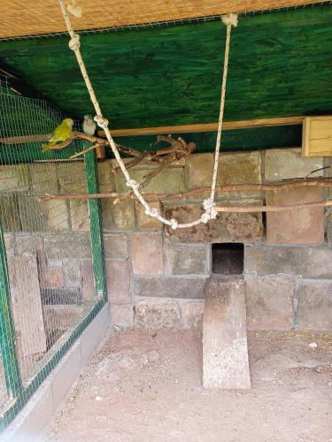 a bird is sitting in a bird cage at W zieleni in Polanica-Zdrój