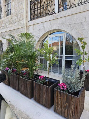 a group of plants in pots in front of a building at כוהנ'ס Cohen's Boutique Hotel in Haifa