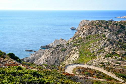Gambar di galeri bagi Camping Les Castors di Calvi