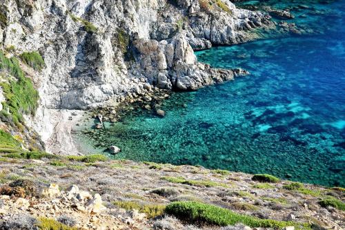 Gambar di galeri bagi Camping Les Castors di Calvi
