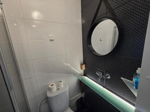 a bathroom with a toilet and a mirror at Z14 River studio apartment in Klaipėda