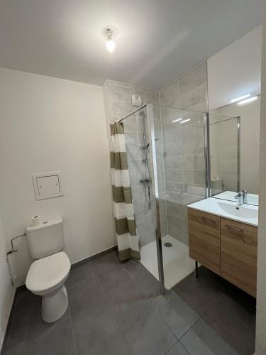 une salle de bain avec toilettes, douche et lavabo dans l'établissement Cozy studio near tram - center, à Strasbourg