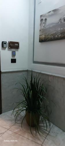 Elegance Rooms Spaccanapoli photo 65