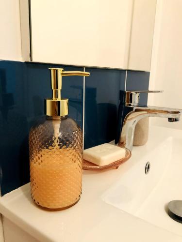- un distributeur de savon installé au-dessus d'un lavabo dans l'établissement Charmant appartement coeur de centre ville, à Sablé-sur-Sarthe