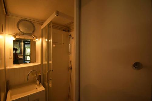 ein Badezimmer mit Dusche, Waschbecken und Spiegel in der Unterkunft Chalet avec piscine commune au Lac de Goulens - 2 adultes et 3 enfants in Layrac