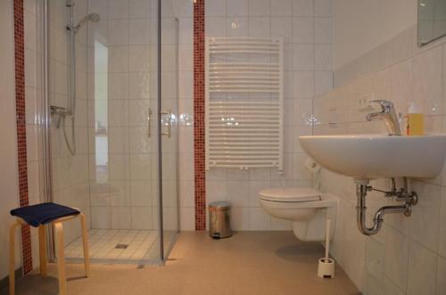 a bathroom with a shower and a sink and a toilet at FerienhausLychen in Lychen