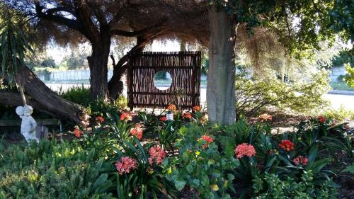 a garden with flowers and a tree with a window at Old Oak Guest House in Bellville