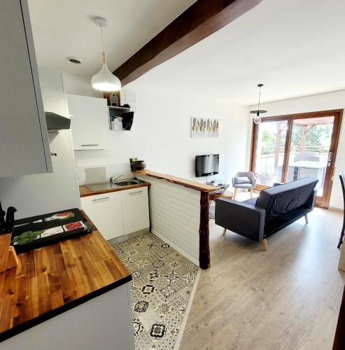 une cuisine et un salon avec un canapé et une table dans l'établissement Vacances à la Campagne 4 étoiles à 30min des pistes de ski Mont Dore Sancy, à Messeix