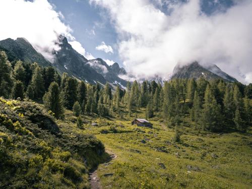 a view of a valley with trees and mountains at Apartment Kassler-2 by Interhome in Kappl