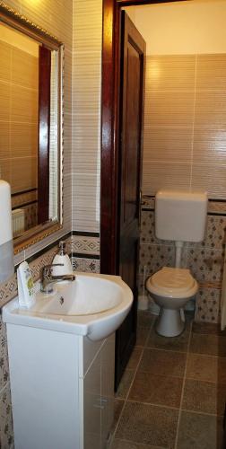 a bathroom with a sink and a toilet at Pensiunea Crimar in Ilteu