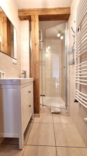 a bathroom with a shower and a sink and a shower at Dom Jesionów in Idzików
