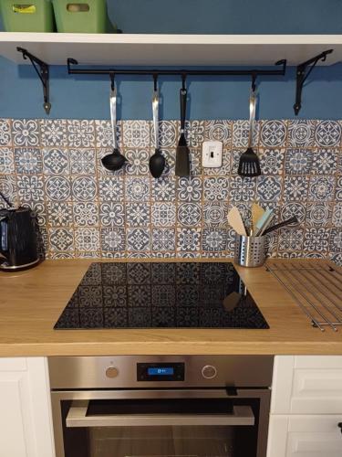 a kitchen with a stove and a counter top at Terasy Sedlec in Sedlec