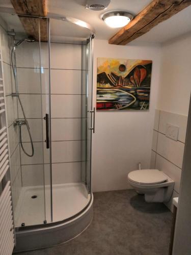 a bathroom with a shower and a toilet at Apartment Sonnenschein in Bühl