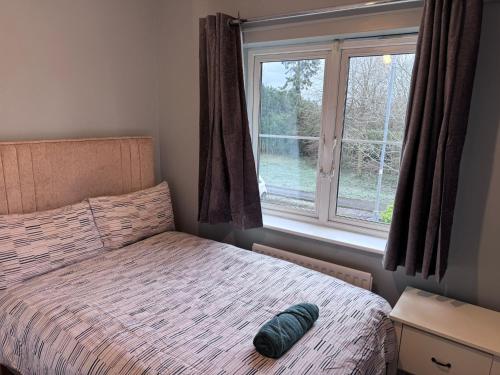 a bedroom with a bed with a large window at Entire place close to Airport & City in Dublin