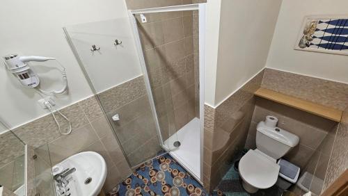 a bathroom with a shower and a toilet and a sink at Nileja in Vilnius