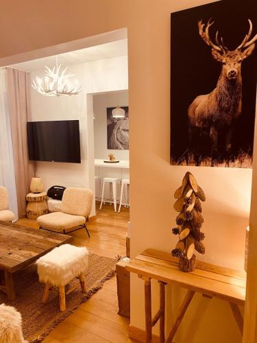TV a/nebo společenská místnost v ubytování Bel appartement 8p pied des pistes Val Louron