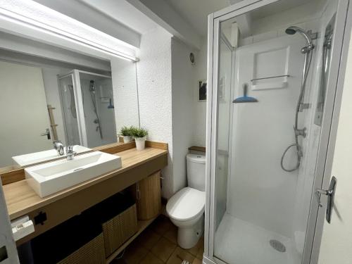 une salle de bain avec un lavabo, des toilettes et une douche dans l'établissement Le Cocon - Close to Carmes metro, à Toulouse