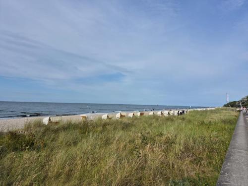 Zentrale strandnahe Ferienwohnung mit 3 Zimmern Spatzennest photo 13