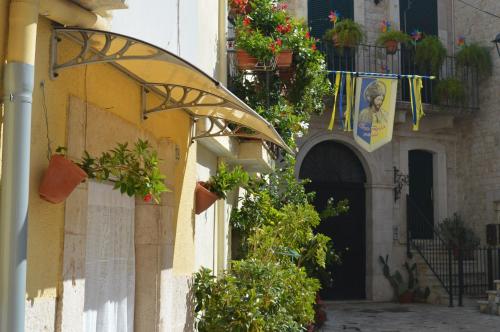 a building with potted plants on the side of it at GEOMETRIC BLUE in Casamassima