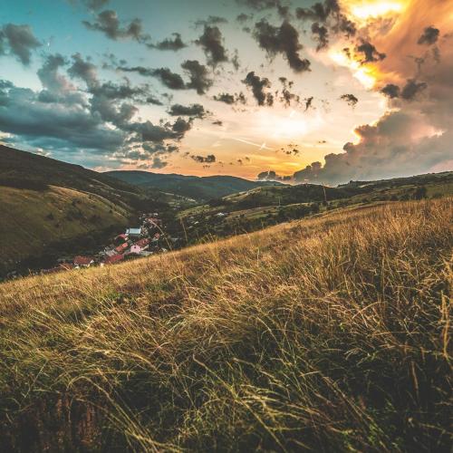 a field of grass with the sunset in the background at Apartments Eibenthal in Eibenthal