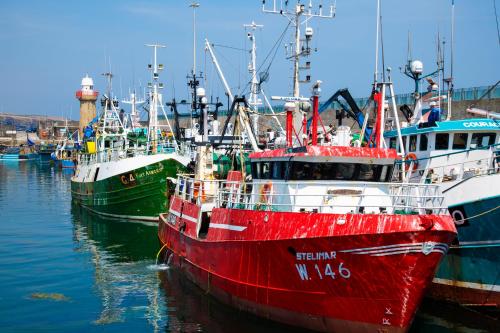 a group of boats docked in the water at Dunmore East Ocean View Suite in Dunmore East