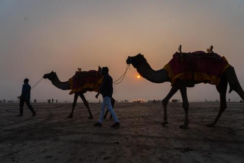 two people walking two camels in the desert at Aarya Inn in Srīvardhan