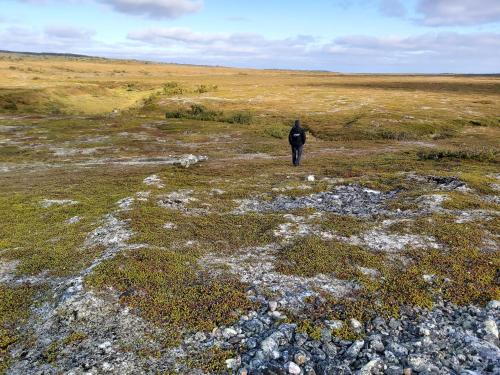 a person walking through a field of grass at Varangertunet Aldonen Apartment in Vadsø