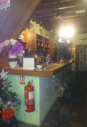 a kitchen with a counter with a fire hydrant on it at Hotel Lang Hoose in George Town