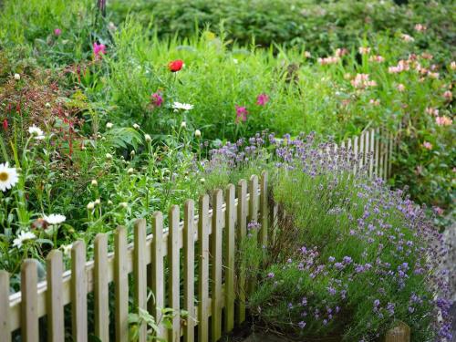 a garden with a white picket fence and flowers at The West Wing in Barnstaple