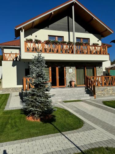 a house with a tree in front of it at Pensiunea Magic in Băile Govora