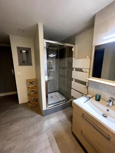 une salle de bain avec douche et lavabo dans l'établissement Maison dans le vignoble, à Serzy-et-Prin