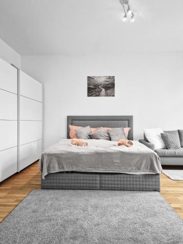 2rooms apartment